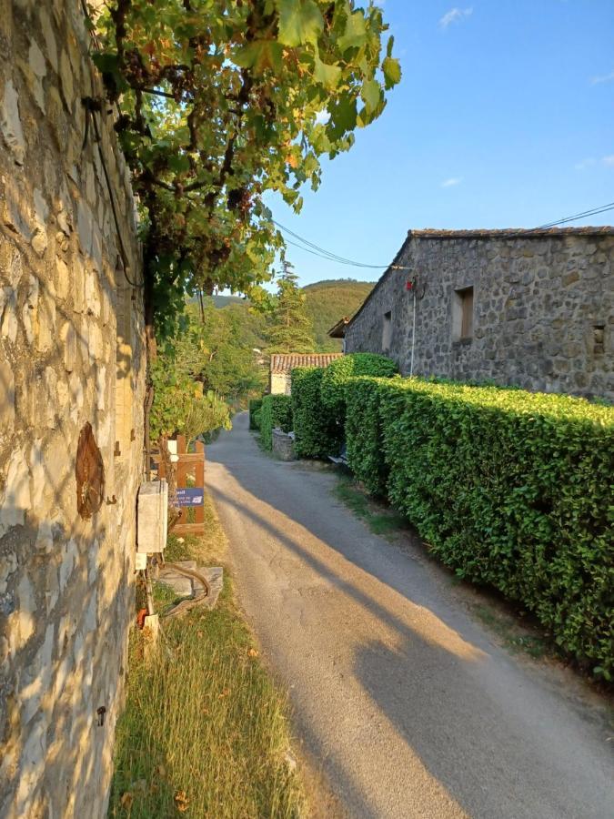 Gîtes du Domaine de Serre Long Saint-Maurice-dʼIbie Extérieur photo