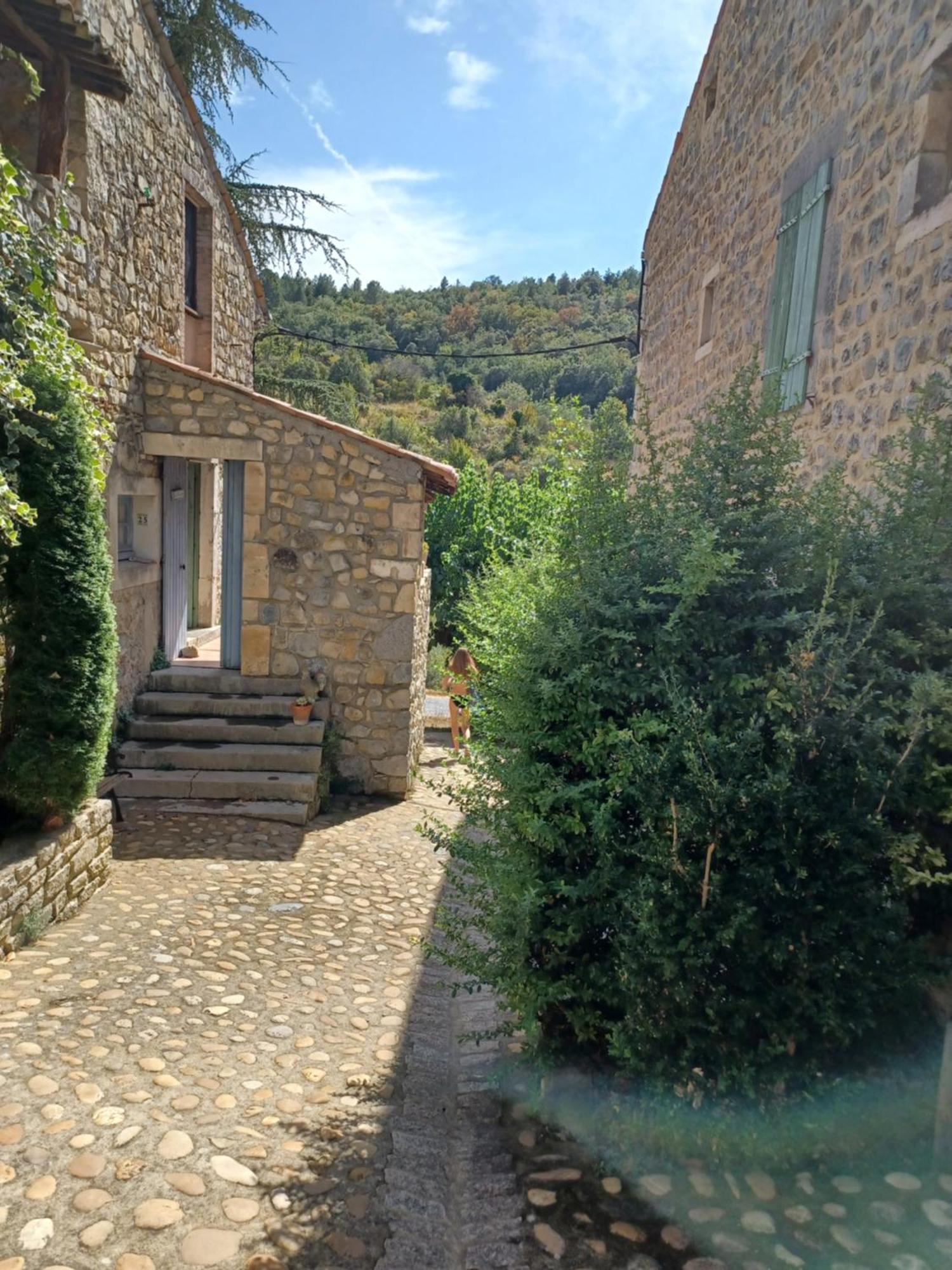 Gîtes du Domaine de Serre Long Saint-Maurice-dʼIbie Extérieur photo