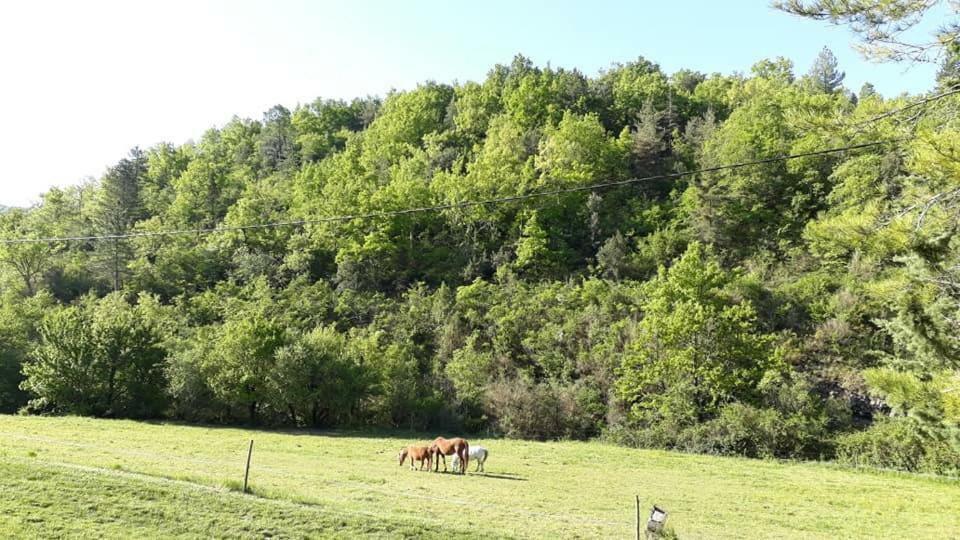 Gîtes du Domaine de Serre Long Saint-Maurice-dʼIbie Extérieur photo